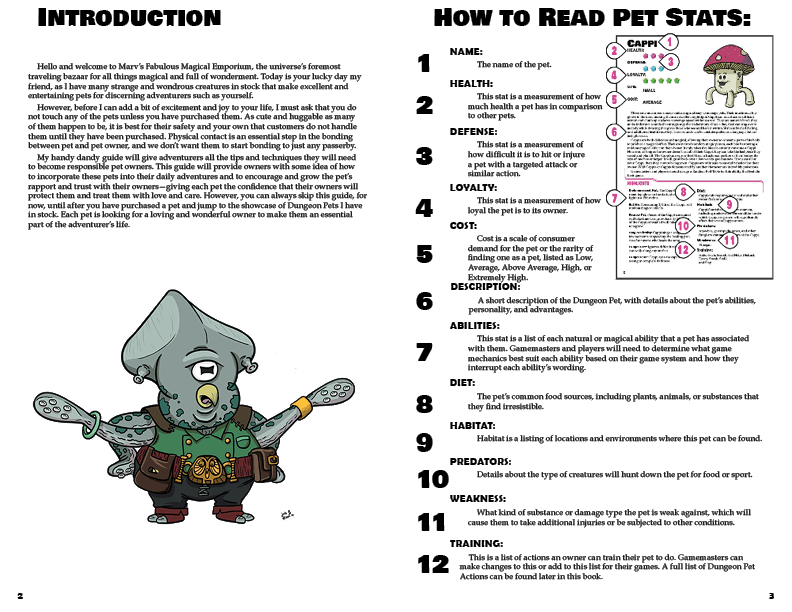 Dungeon Pets + PDF