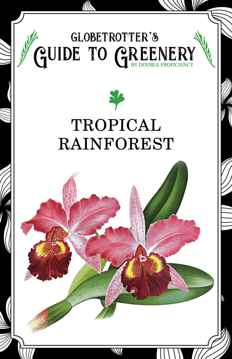 Globetrotter's Guide to Greenery: Tropical Rainforest