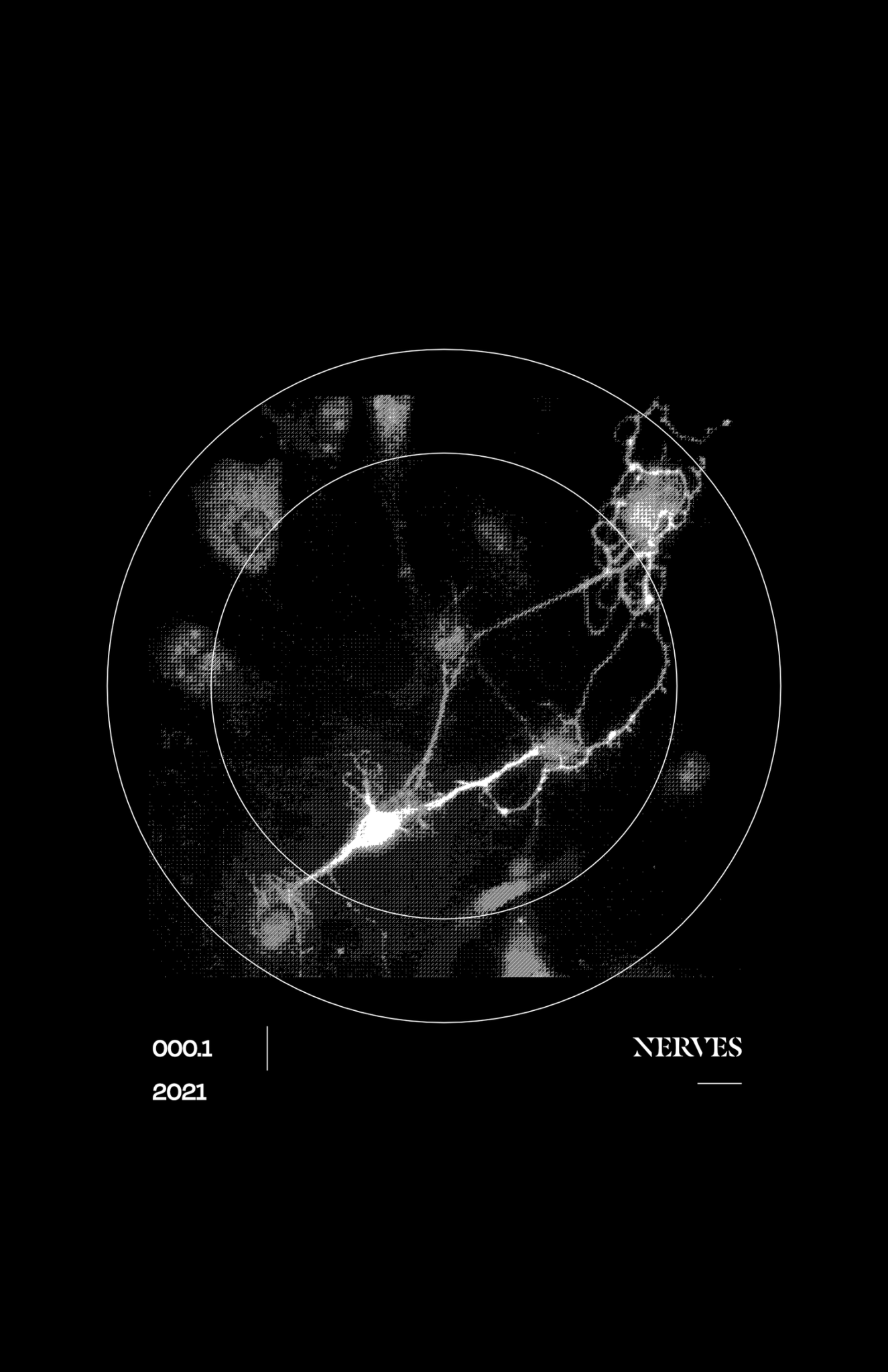 NERVES : An Analytical TTRPG Zine - Exalted Funeral